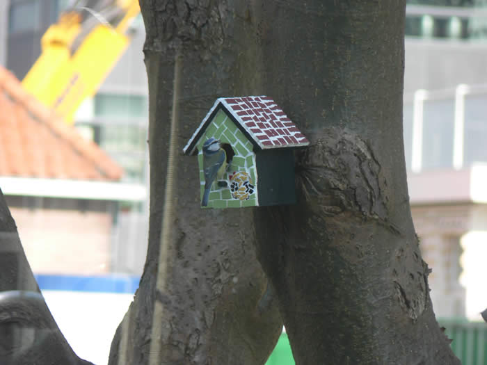 vogel in huisje gestuurd door Rita